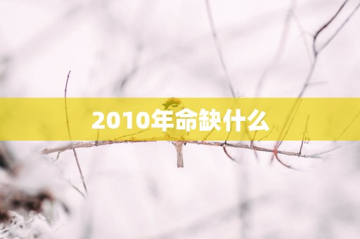 2010年命缺什么