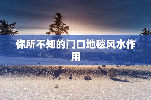 你所不知的门口地毯风水作用