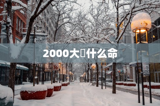 2000大龍什么命