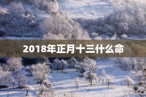 2018年正月十三什么命