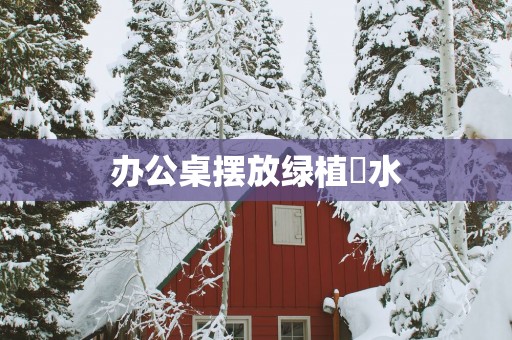 办公桌摆放绿植風水
