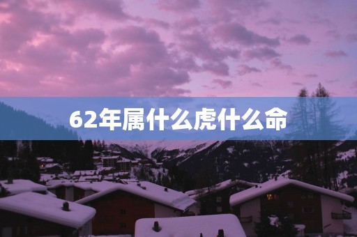 62年属什么虎什么命