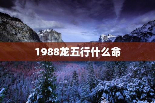 1988龙五行什么命