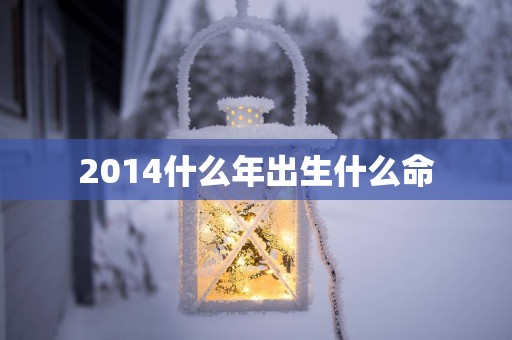 2014什么年出生什么命
