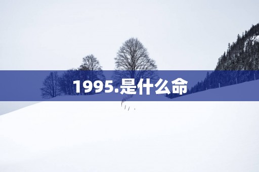 1995.是什么命