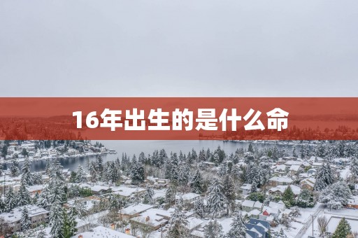16年出生的是什么命
