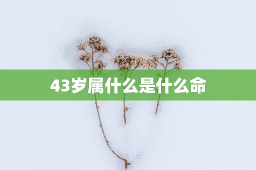 43岁属什么是什么命