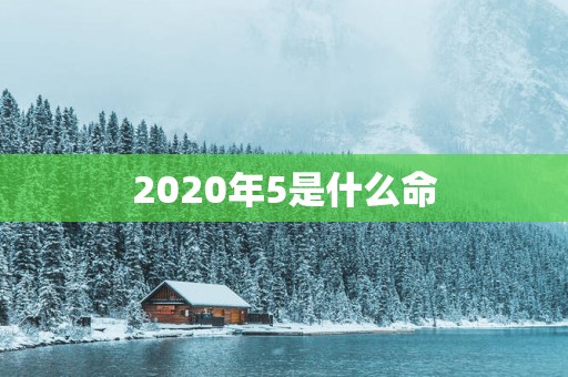 2025年5是什么命