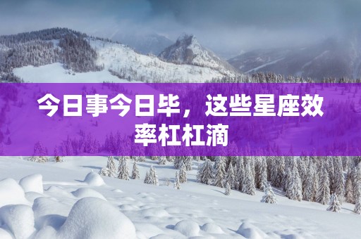 今日事今日毕，这些星座效率杠杠滴