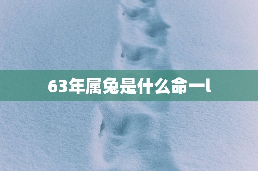 63年属兔是什么命一l