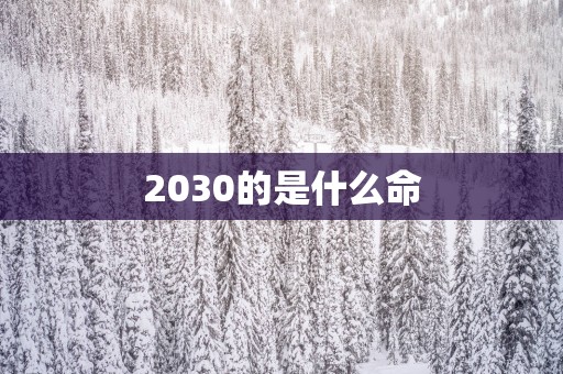 2030的是什么命