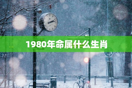 1980年命属什么生肖