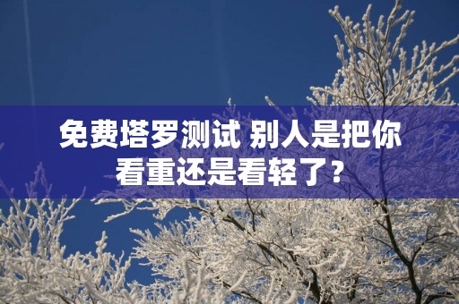 免费塔罗测试 别人是把你看重还是看轻了？