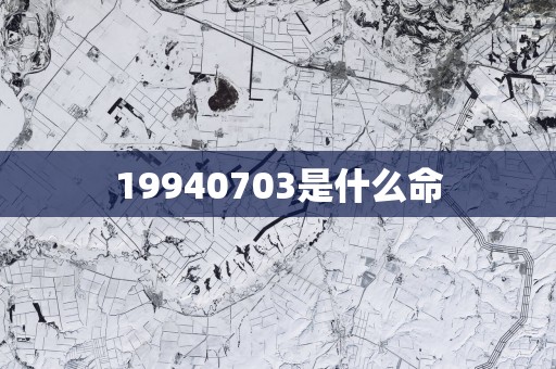 19940703是什么命