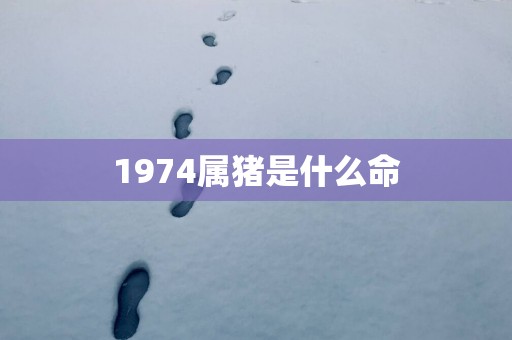1974属猪是什么命