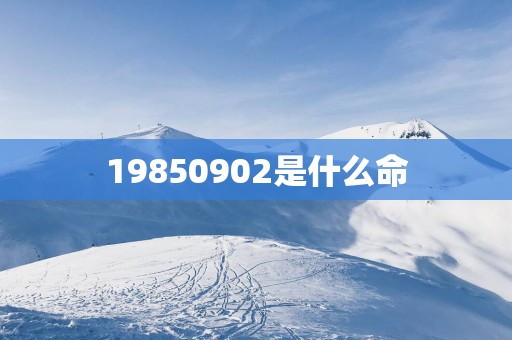 19850902是什么命
