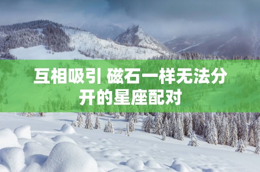 互相吸引 磁石一样无法分开的星座配对
