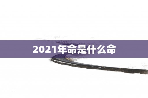 2025年命是什么命