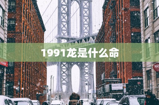 1991龙是什么命