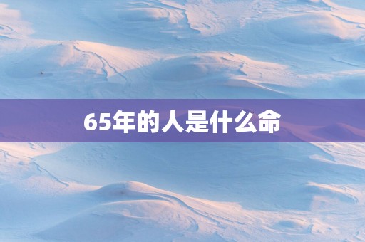 65年的人是什么命
