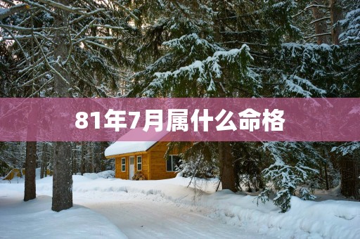 81年7月属什么命格