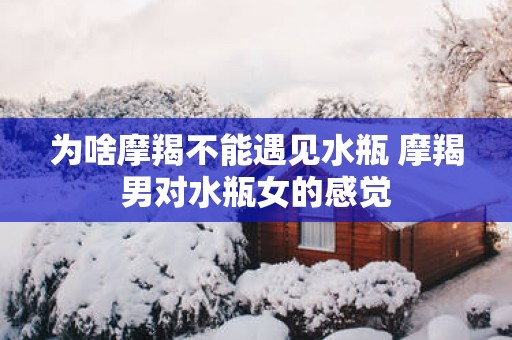 为啥摩羯不能遇见水瓶 摩羯男对水瓶女的感觉