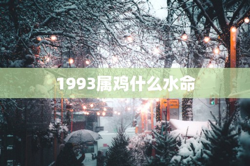1993属鸡什么水命