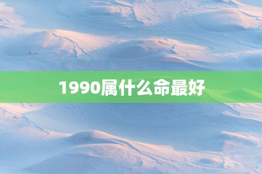 1990属什么命最好
