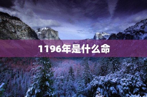 1196年是什么命