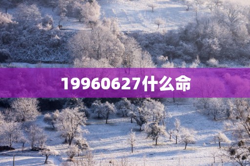 19960627什么命