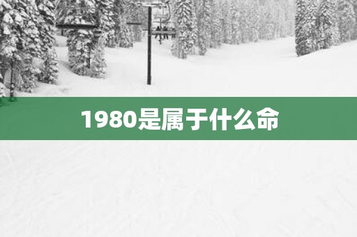 1980是属于什么命