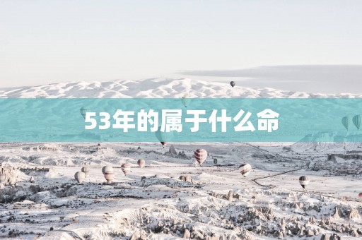 53年的属于什么命 53年的属于什么命