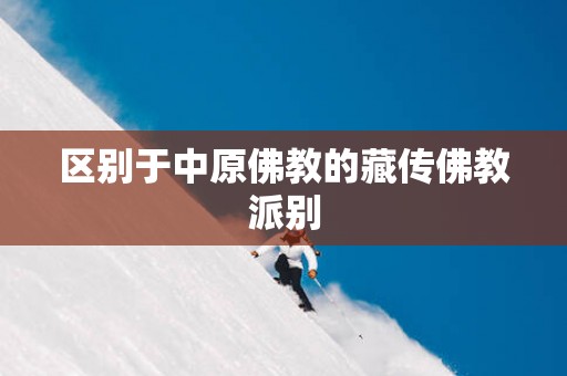 区别于中原佛教的藏传佛教派别