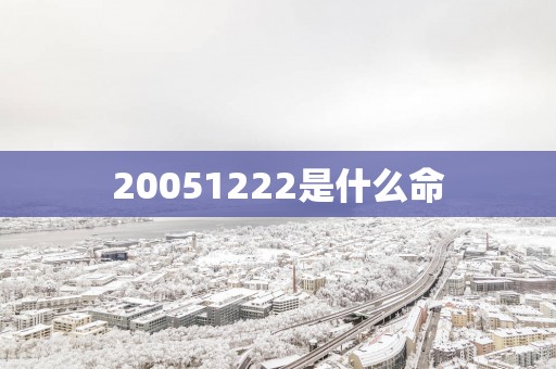 20051222是什么命