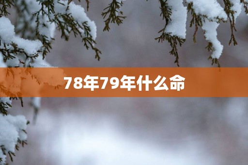 78年79年什么命