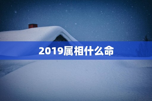 2019属相什么命