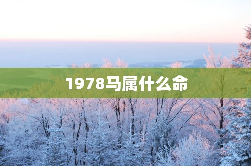 1978马属什么命