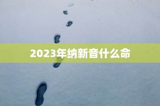 2025年纳新音什么命