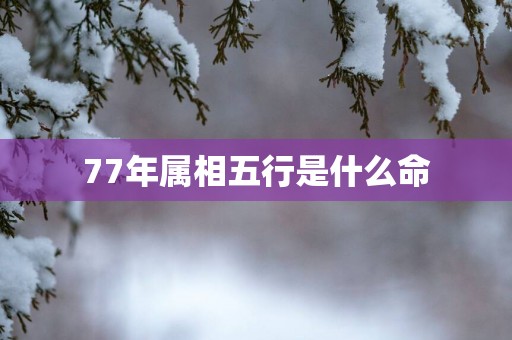 77年属相五行是什么命