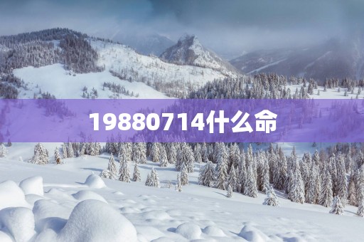19880714什么命