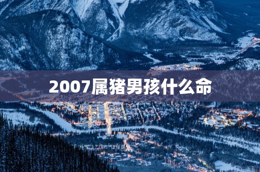 2007属猪男孩什么命