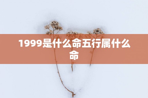 1999是什么命五行属什么命