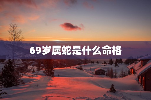 69岁属蛇是什么命格