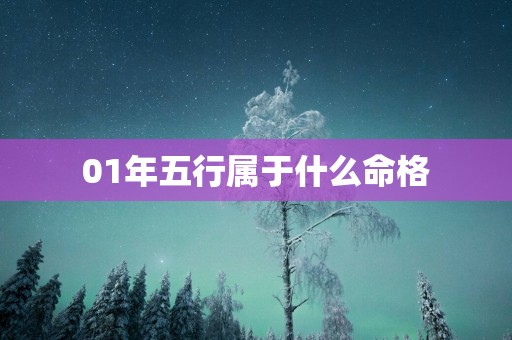 01年五行属于什么命格