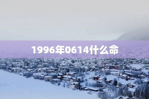 1996年0614什么命