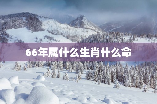 66年属什么生肖什么命