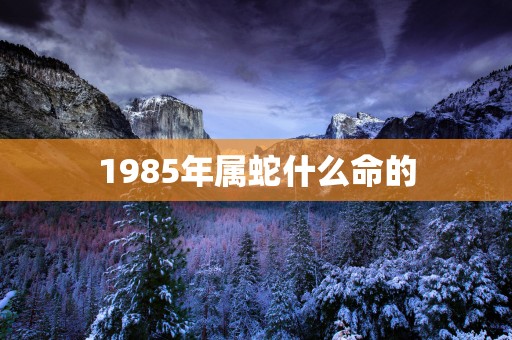 1985年属蛇什么命的