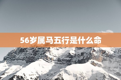 56岁属马五行是什么命