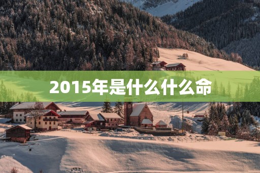 2015年是什么什么命