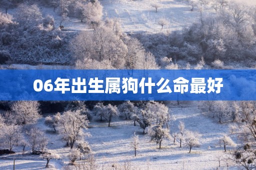 06年出生属狗什么命最好